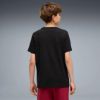 Picture of Boys Essentials 2 Colour No. 1 Logo T-Shirt
