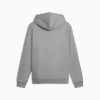 Picture of Bmw M Motorsport Essentials Hoodie