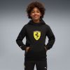 Picture of Scuderia Ferrari Coloured Shield Fleece Hoodie Youth
