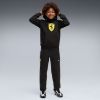 Picture of Scuderia Ferrari Coloured Shield Fleece Hoodie Youth