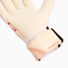 Picture of Future Match Nc Unisex Goalkeeper Gloves