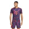 Picture of FC Bayern 26/27 Third Jersey