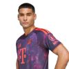 Picture of FC Bayern 26/27 Third Jersey