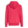 Picture of Essentials Hoodie Kids