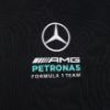Picture of Mercedes - Amg Petronas Formula 1 Team Dna Full Zip Hoody