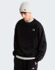 Picture of TNF Essential Terry Simple Dome Relaxed Hoodie