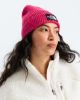 Picture of TNF Logo Box Cuffed Beanie