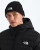 Picture of TNF Logo Box Cuffed Beanie