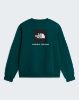 Picture of Evolution Box NSE Regular Sweatshirt