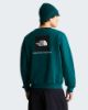 Picture of Evolution Box NSE Regular Sweatshirt