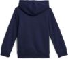 Picture of Boys Rival Fleece Hoodie