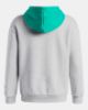 Picture of Boys Rival Fleece Graphics Hoodie