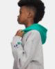 Picture of Boys Rival Fleece Graphics Hoodie