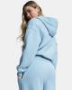 Picture of Icon Fleece Hz Hoodie