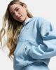 Picture of Icon Fleece Hz Hoodie