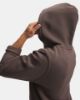 Picture of Icon Fleece Hoodie