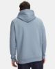 Picture of Icon Fleece Hoodie