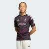 Picture of Liverpool FC 26/27 Third Jersey Kids