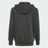 Picture of Audi Revolut F1 Team DNA Full-Zip Hoodie Kids
