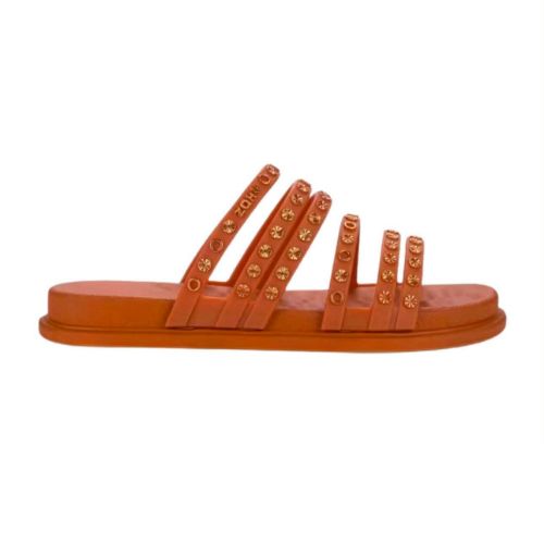 Picture of Deep Slides