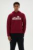 Picture of Plerica Oh Hoodie