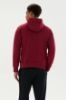 Picture of Plerica Oh Hoodie