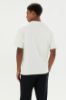 Picture of Plerica T-Shirt