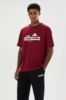 Picture of Plerica T-Shirt