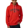 Picture of Hooded Sweatshirt