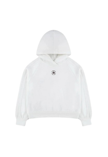 Picture of Varsity Pintuck Hoodie