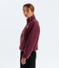Picture of TNF Fleeski 1/4-Zip Fleece Pullover