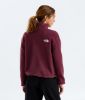 Picture of TNF Fleeski 1/4-Zip Fleece Pullover
