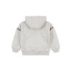 Picture of Aldino Taped Zip Hoodie