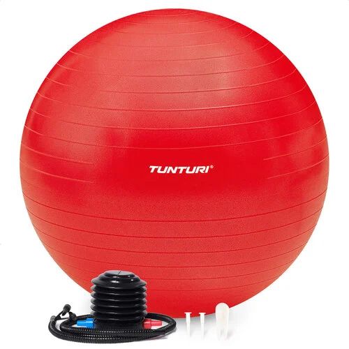 Picture of Tunturi Gymball 90Cm
