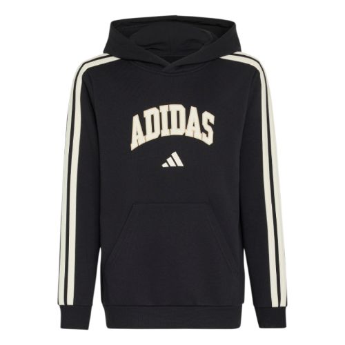 Picture of Kids Codes Collegiate Graphic Hoodie