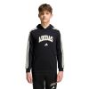 Picture of Kids Codes Collegiate Graphic Hoodie