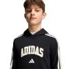 Picture of Kids Codes Collegiate Graphic Hoodie