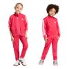 Picture of Kids Essentials Climacool Track Suit