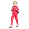 Picture of Kids Essentials Climacool Track Suit
