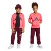 Picture of Kids Essentials Track Suit