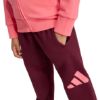 Picture of Kids Essentials Track Suit