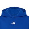 Picture of Kids Essentials Hoodie