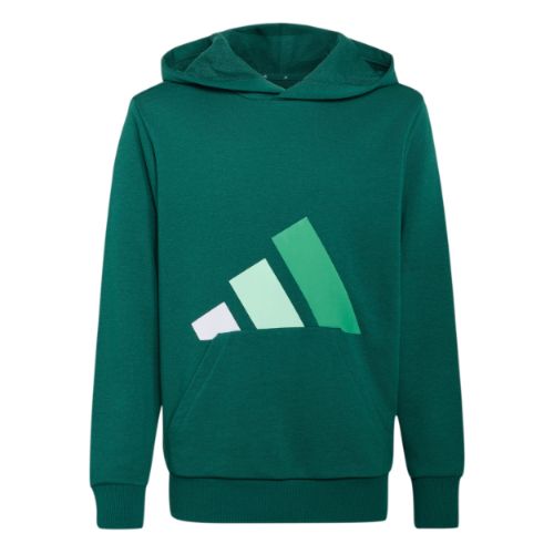 Picture of Kids Essentials Hoodie
