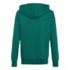 Picture of Kids Essentials Hoodie