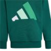 Picture of Kids Essentials Hoodie
