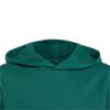 Picture of Kids Essentials Hoodie