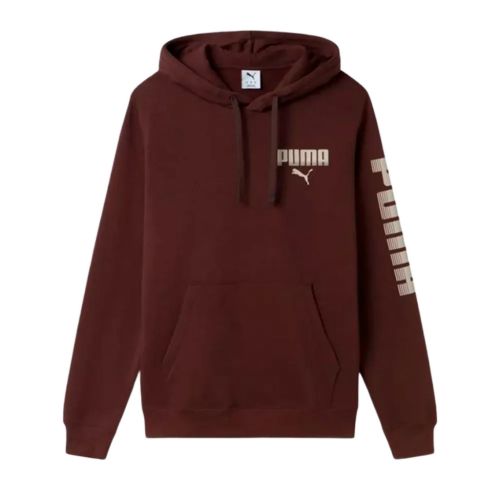 Picture of Essentials Graphic Hoodie