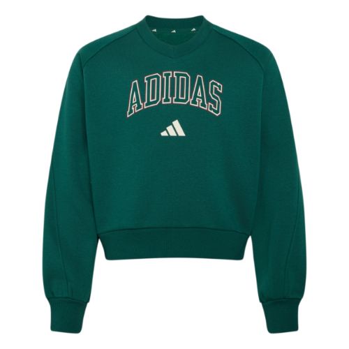 Picture of Seasonals Collegiate Typography V-neck Junior Girls Sweatshirt
