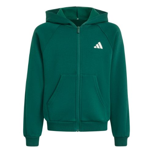 Picture of Junior Seasonals Collegiate Typography Full Zip Hoody