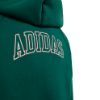 Picture of Junior Seasonals Collegiate Typography Full Zip Hoody